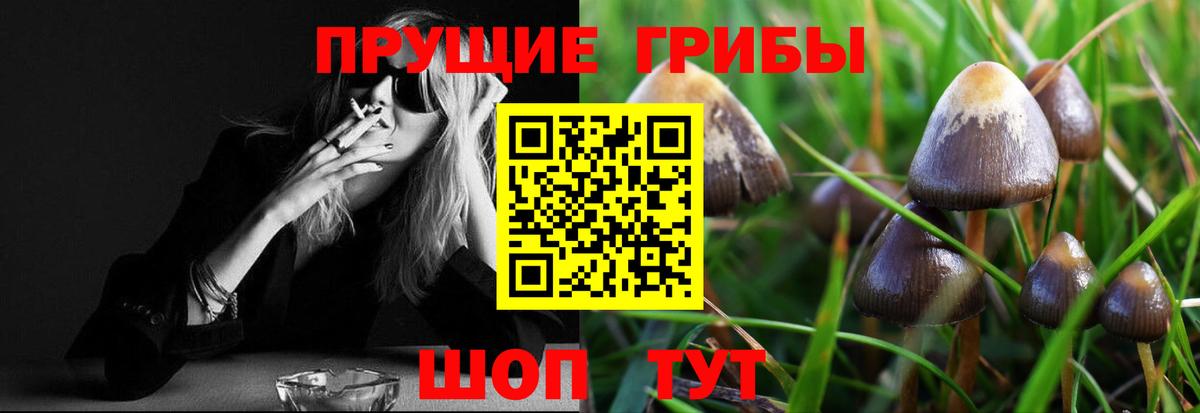 Лесосибирск  Галлюциногенные грибы прущие грибы  где можно купить наркотик  Вход с VPN 